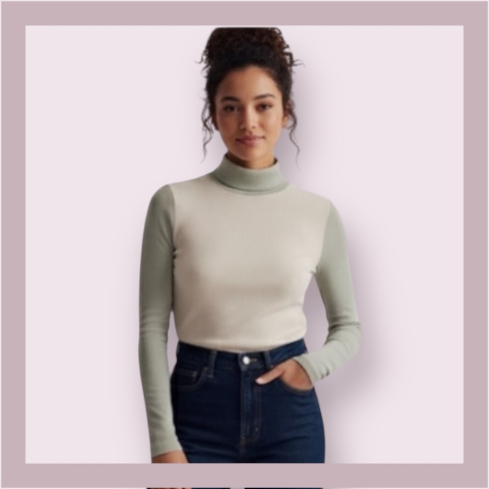 Madewell Colorblock Garbanzo Ribbed Turtleneck Top